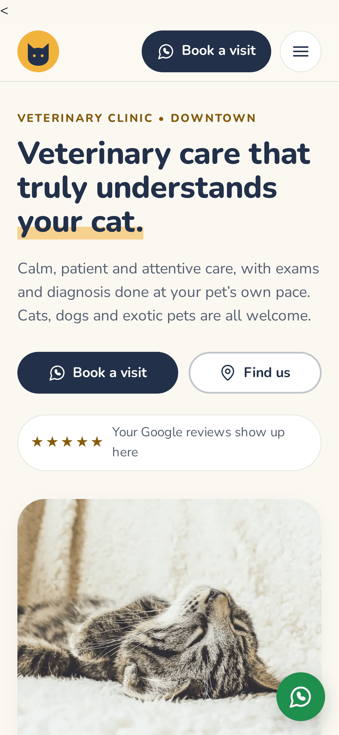 Ronrom Vet, site visto no celular